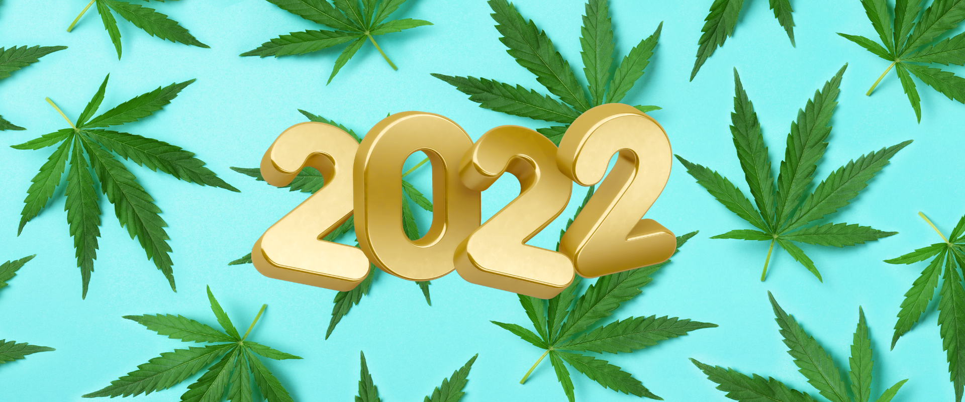 Ready, Set, Grow! The Best Weed Strains 2022