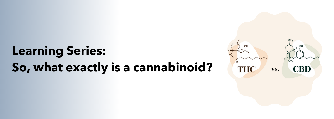 cannabis storage | cannabinoids